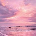 Avatar of Zahid Mirza